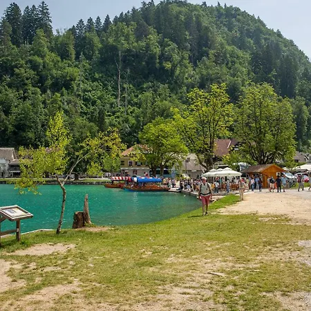 Honey Bee Lejlighed *